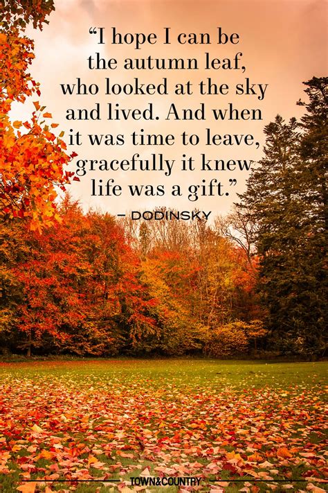 autumn weather quotes|inspirational quotes about fall.